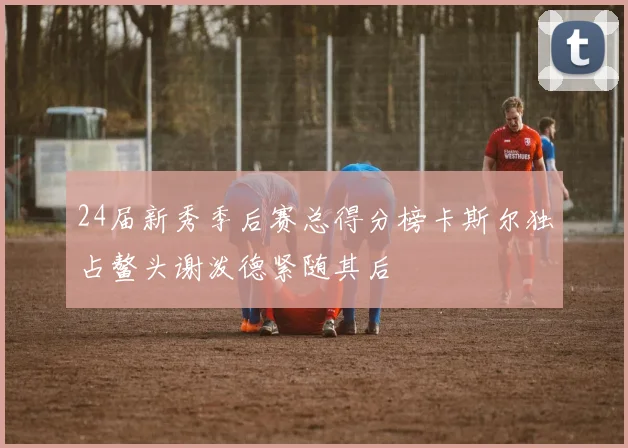 24届新秀季后赛总得分榜卡斯尔独占鳌头谢泼德紧随其后