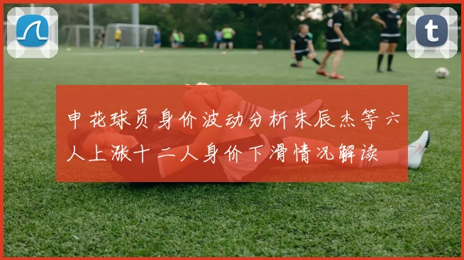 申花球员身价波动分析朱辰杰等六人上涨十二人身价下滑情况解读